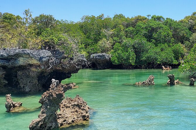 Safari Blue Zanzibar - A full day on Menai Bay from 8 a.m.