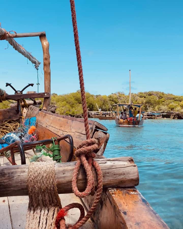 SAFARI BLUE ZANZIBAR : PRIVATE TRIP - Sailing Zanzibar by traditional dhow