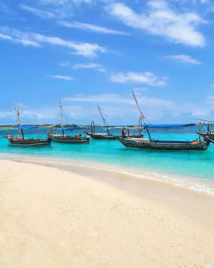SAFARI BLUE ZANZIBAR : PRIVATE TRIP - The return sail and what the day feels like