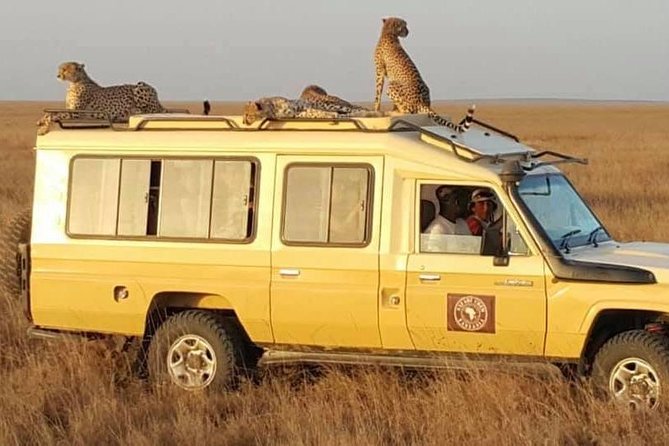 Safari in Tanzania 5 days: Manyara, Ngorongoro, Serengeti - Who should choose this five-day route?