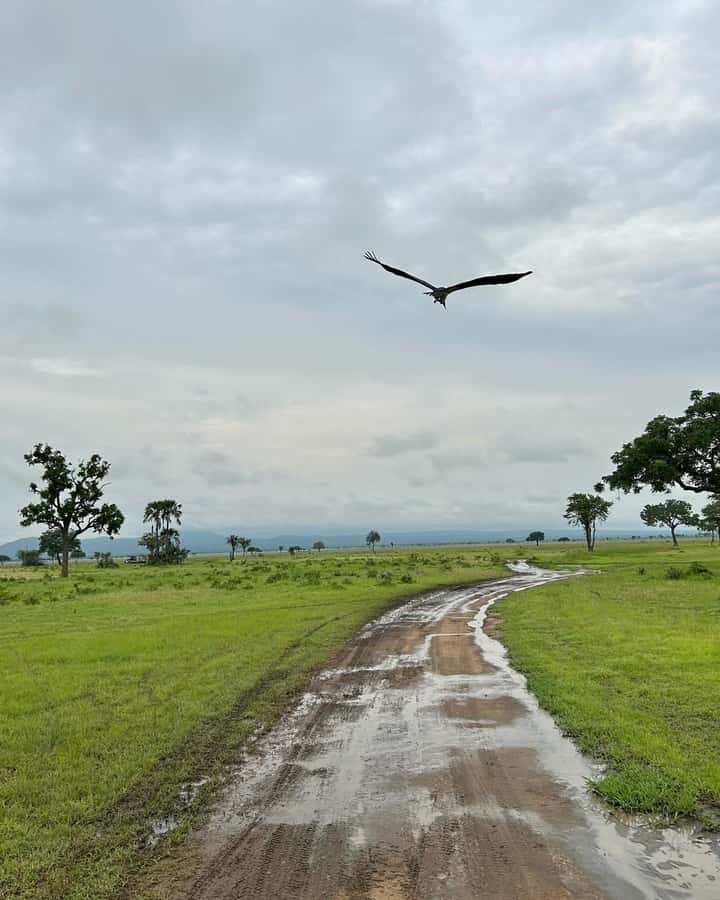SAFARI WILDLIFE 3 DAYS 2 NIGHT FROM ZANZIBAR TO MIKUMI - Day one: ferry, train, Morogoro, and a Maasai village