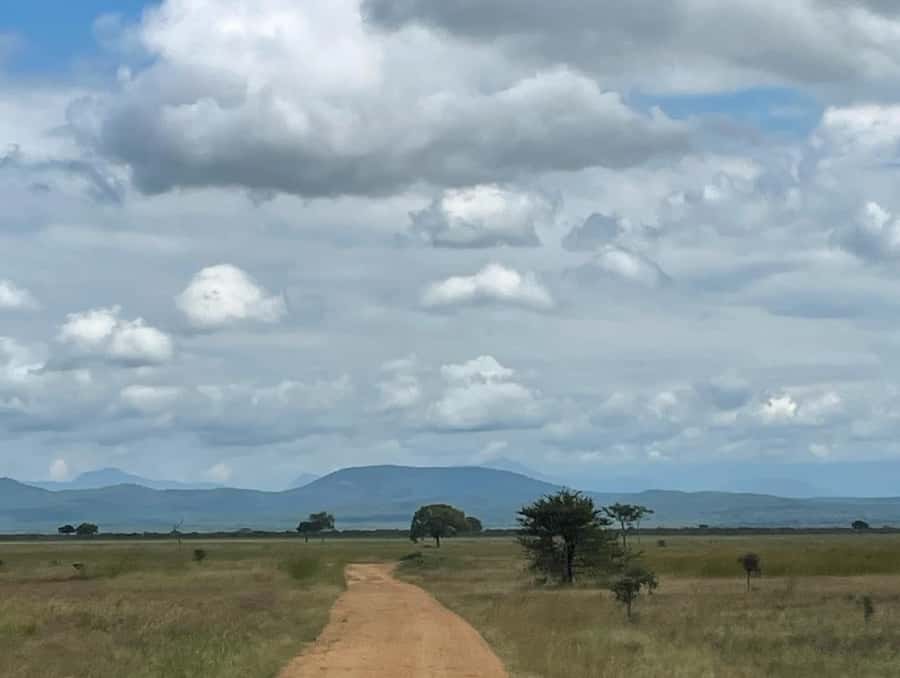 SAFARI WILDLIFE FROM ZANZIBAR TO MIKUMI 3 DAYS AND 2 NIGHTS - Who should choose this safari