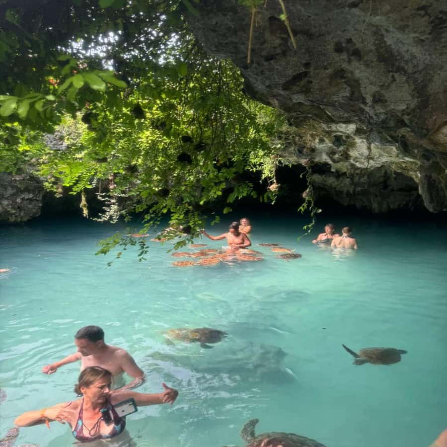 SALAAM CAVE: Swim with turtles & Dine at The Rock Restaurant - Key details before you book