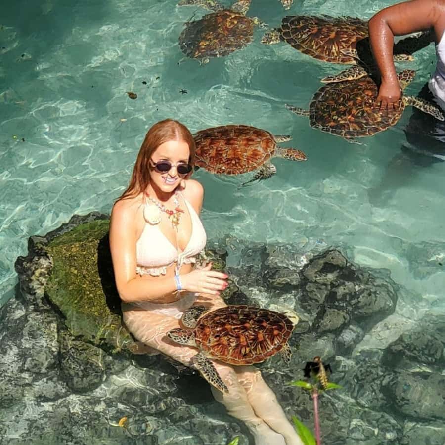 SALAAM CAVE: Swim with turtles & Dine at The Rock Restaurant - Who should book this day