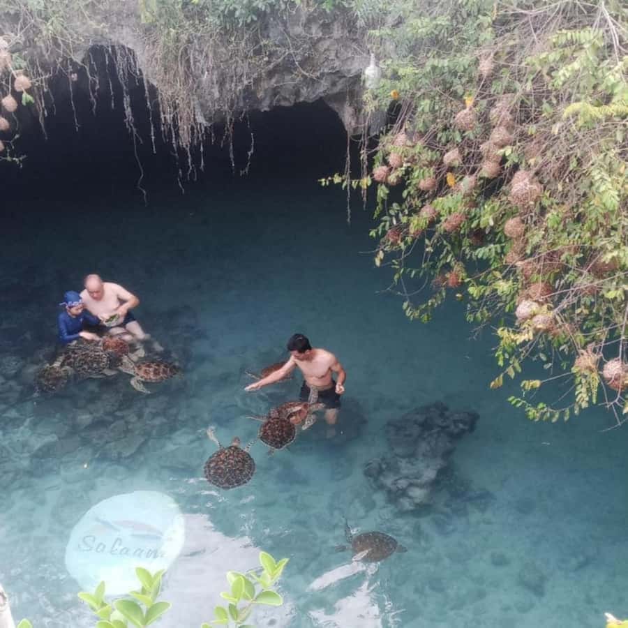 SALAAM CAVE: Swim with turtles & Dine at The Rock Restaurant - From the cave to Pingwe