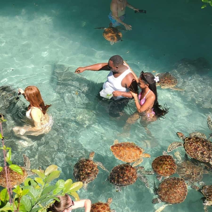 SALAAM CAVE: Swim with turtles & Dine at The Rock Restaurant - The one-hour journey south