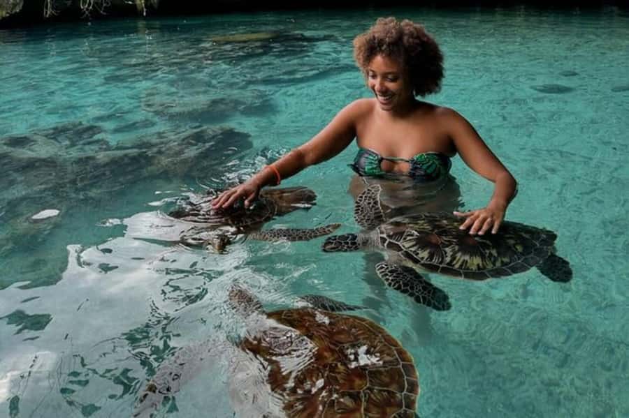 Salaam Cave Swimming & feeding Sea Turtles in Kizimkazi - Feeding the turtles without losing your footing