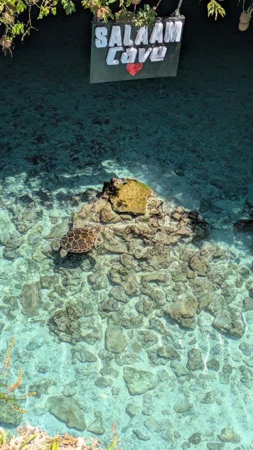 Salaam Cave Swimming with turtles, Mtende Beach & The Rock - What the $51 price includes