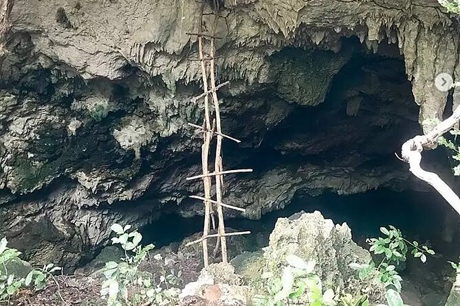 Salaam Cave Zanzibar (Turtles Santuary) - Is $100 per person fair value?