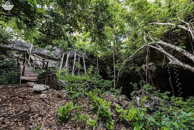Salaam Cave Zanzibar (Turtles Santuary) - Timing, group size, and practical planning