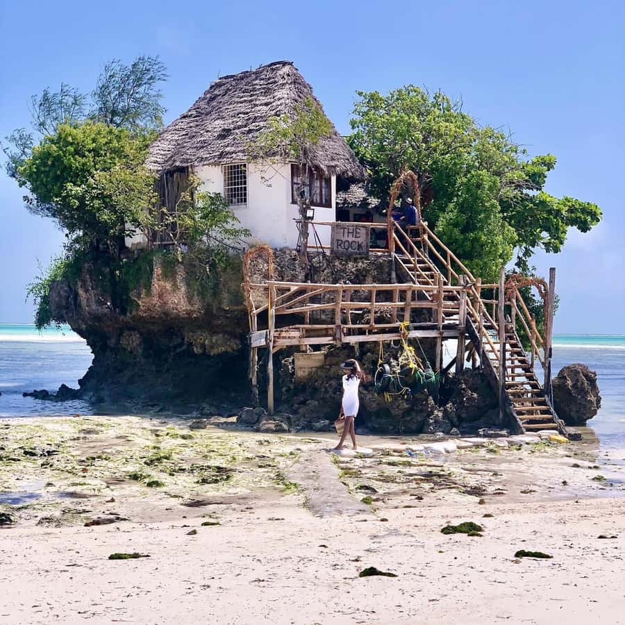 Salam cave turles swimming, paje beach , the Rock Restaurant - Starting with sea turtles at Salaam Cave