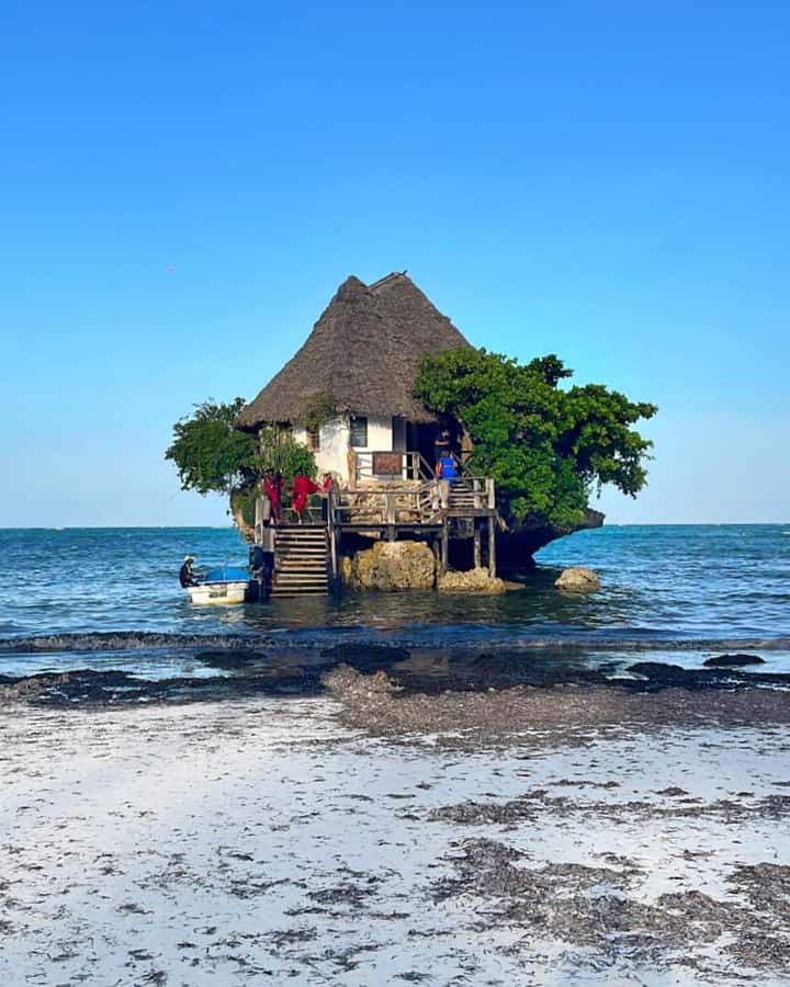 Salam cave turles swimming, paje beach , the Rock Restaurant - Who will enjoy this Zanzibar day