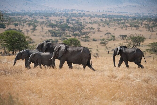 Savannah Escape & Active Culture Tour - Day 4: Meeting the Hadza near Lake Eyasi