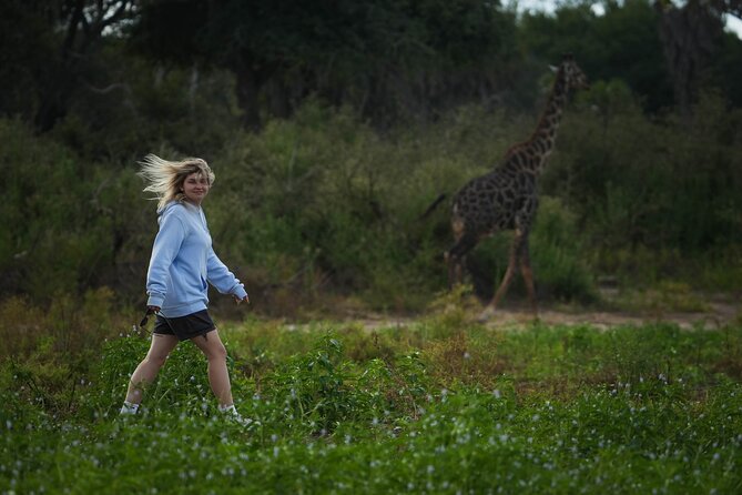 Selous Luxury Day Safari with Photographer - The afternoon search and the long return