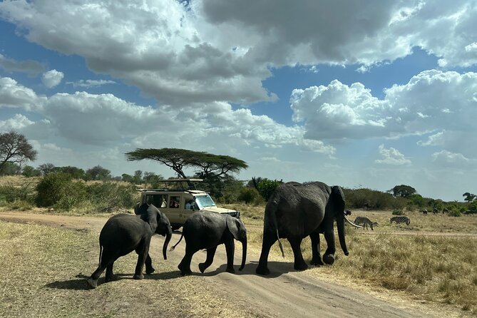 Serengeti 2-Day Safari from Mwanza - A night in a luxury tented camp