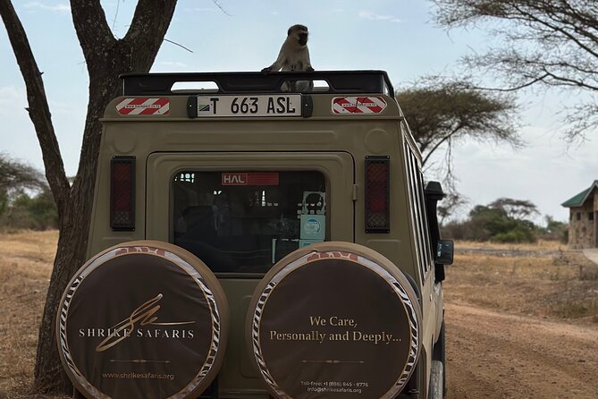 Serengeti 2-Day Safari from Mwanza - Who will get the most from this safari