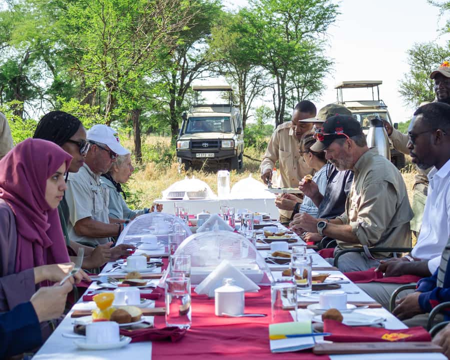 Serengeti Balloon Ride and Luxury Bush Breakfast - Who should book this experience