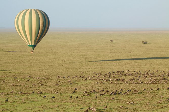 Serengeti Balloon Safari and authentic bush breakfast - Kogatende from June through November
