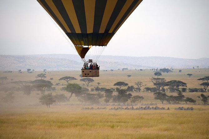 Serengeti Balloon Safari and authentic bush breakfast - Wildlife from the air, with realistic expectations