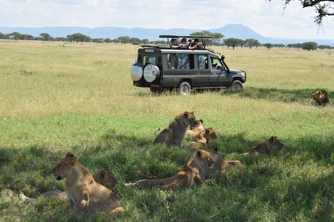 Serengeti Day Trip Safari From Mwanza Tanzania - Who will enjoy this one-day Serengeti plan