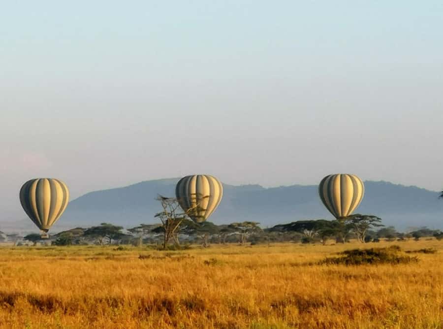 Serengeti: Hot Air Balloon Flight with Champagne Breakfast - Landing somewhere the wind chooses