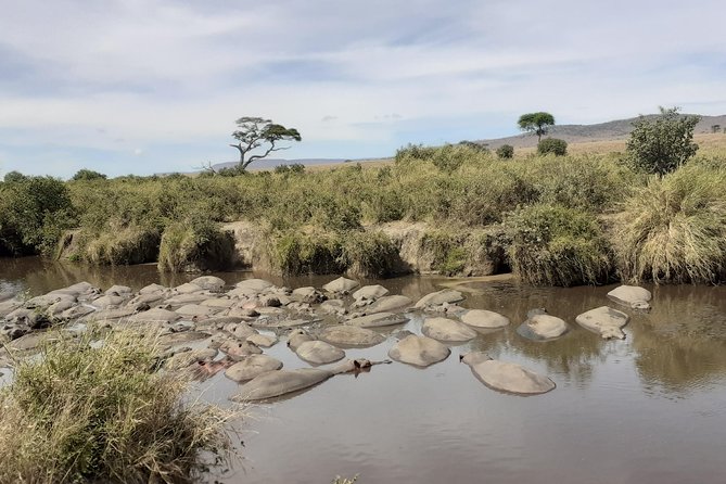 SERENGETI NATIONAL PARK Tour - Day 5: From Lobo to Ngorongoro Crater