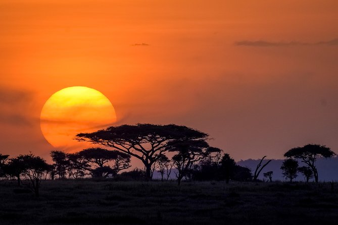 Serengeti & Ngorongoro 3 days Fly Safari in from Zanzibar - What the $2,200 price really covers