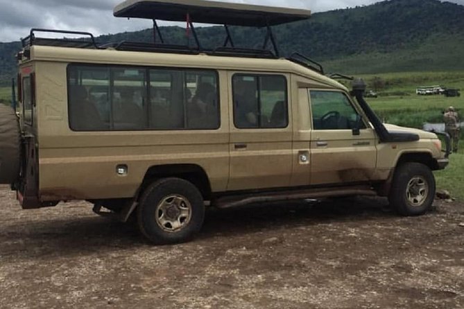 serengeti, ngorongoro & tarangire 5days private tour - Ngorongoro Crater: concentrated wildlife in a dramatic setting