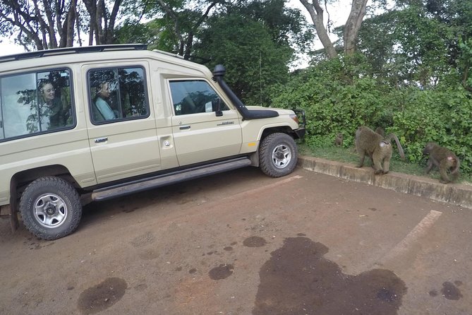 Serengeti Safari with Sirikwa Travel - Day One: Tarangire’s Baobabs and Elephant Herds