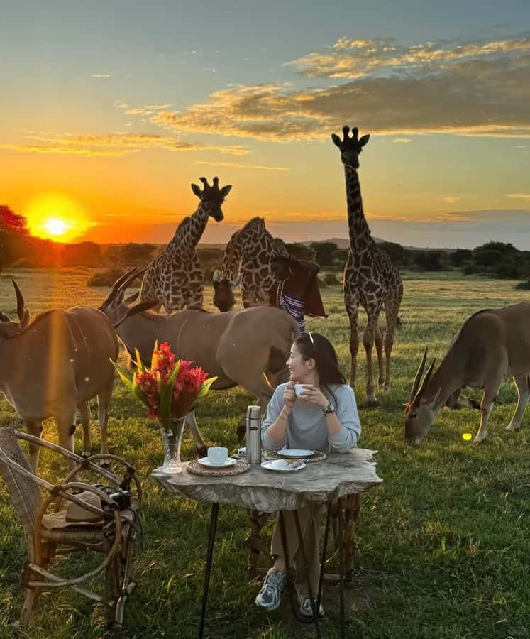 SERVAL WILDLIFE DAY - TOUR FROM ARUSHA, MOSHI OR ZANZIBAR. - Key points to know before booking