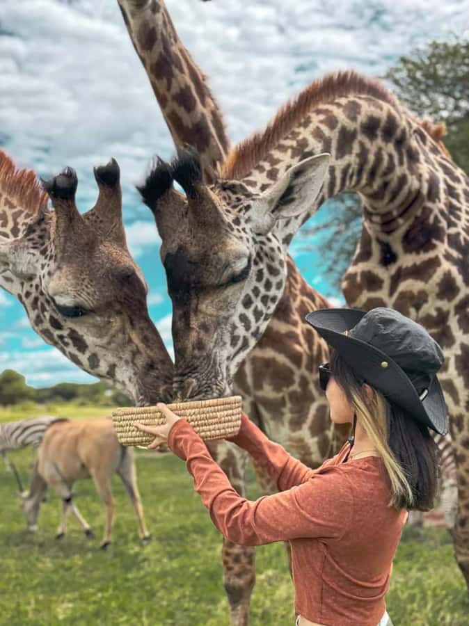 SERVAL WILDLIFE DAY - TOUR FROM ARUSHA, MOSHI OR ZANZIBAR. - Walking with wildlife near Kilimanjaro