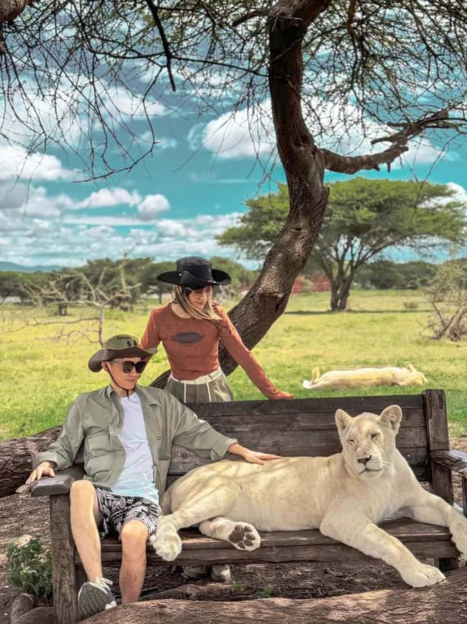 SERVAL WILDLIFE DAY - TOUR FROM ARUSHA, MOSHI OR ZANZIBAR. - The drive from Arusha or the airport
