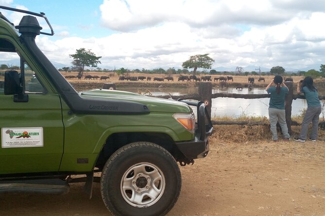 Short Safari from Dar es Salaam to Mikumi National Park - 2 Days - Sleeping inside the park at Tanapa Tourist Cottage