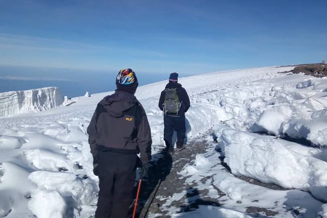 Small-group 7-day Lemosho Route Kilimanjaro Climb from Arusha - Day five: Barafu Camp and the South Circuit