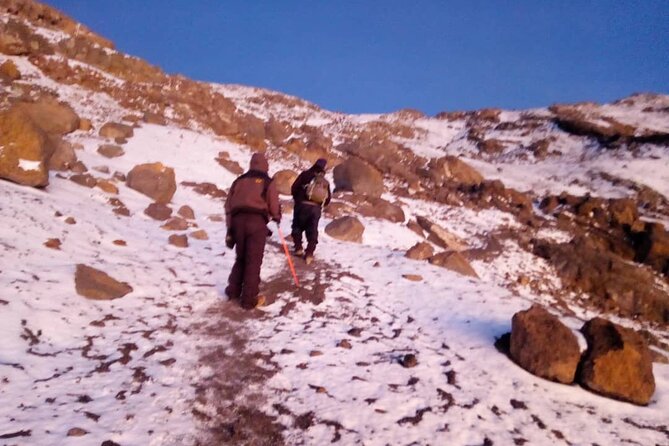 Small-group 7-day Lemosho Route Kilimanjaro Climb from Arusha - Day seven: muddy descent and a warm return