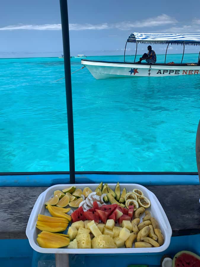 Snorkeling and swimming with dolphins in mnemba island - Who will enjoy this Mnemba morning