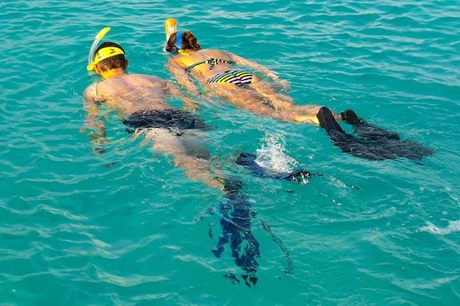 Snorkeling at Mnemba Atoll - Key points about snorkeling at Mnemba Atoll