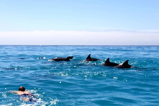Snorkeling at Mnemba Atoll - Why Mnemba Atoll is Zanzibar’s top snorkeling choice