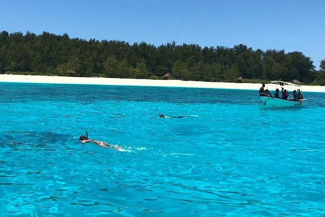 Snorkeling at Mnemba Atoll - Snorkeling among turtles, lionfish, and moray eels