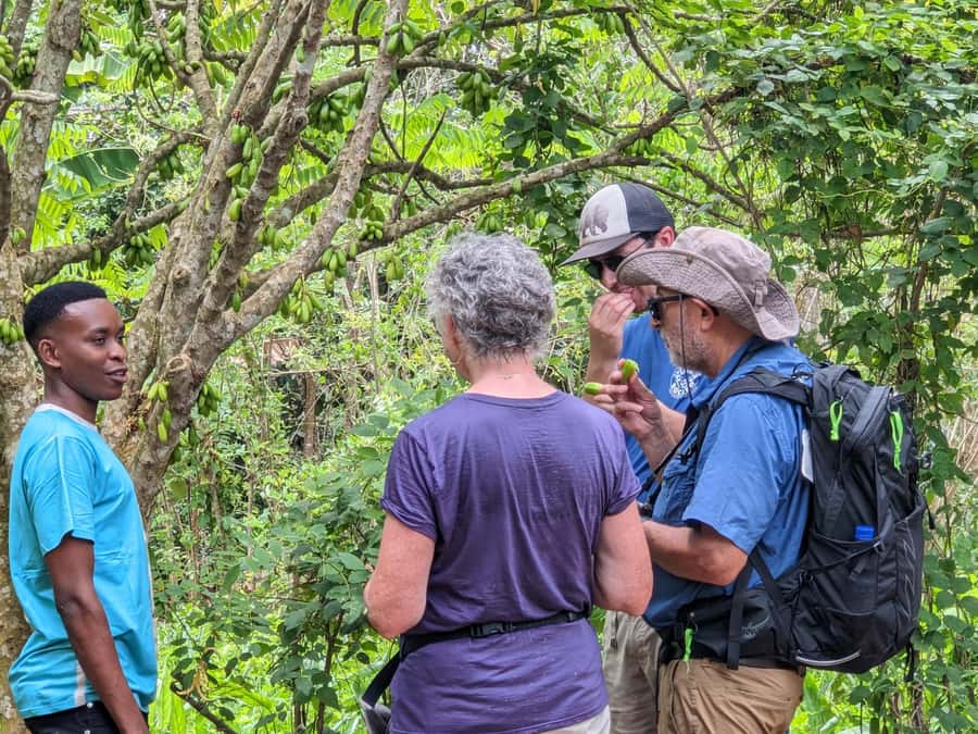 Spice Farm Bike Tour: Pedal Through Aromatic Adventures - Key points to know before you pedal away