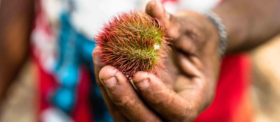 Spice Farm - spice up your life in Zanzibar - A Swahili lunch cooked at the farm