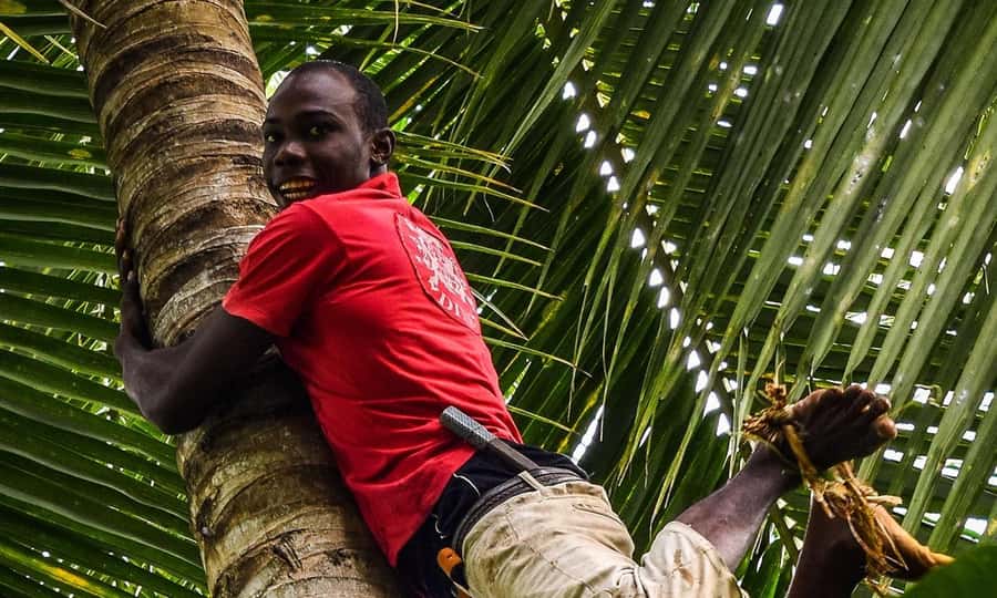 Spice Farm - spice up your life in Zanzibar - Tropical fruit tasting with a local twist
