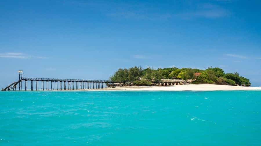 Spice farm,Stone town and Jozani forest tour with lunch - Stone Town gives the day an urban finish