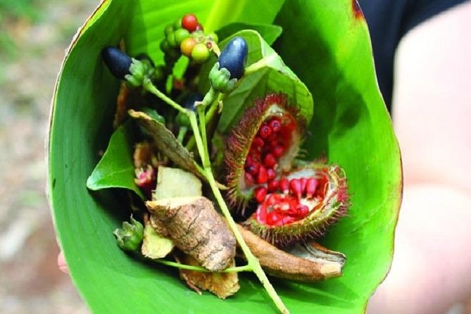 Spice Tour + Stone Town Tour + Prison Island - Guides, drivers, and the private-tour advantage