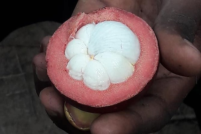 Spice Tour Zanzibar - Why Zanzibar’s spices belong in the garden, not just the kitchen