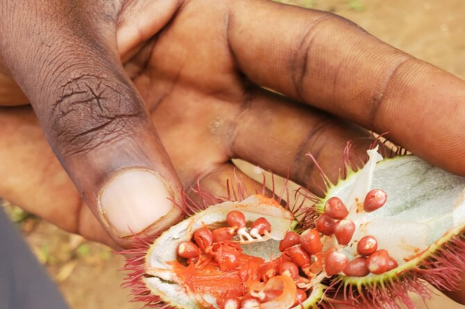 Spice Tour Zanzibar - Who will get the most from this tour?