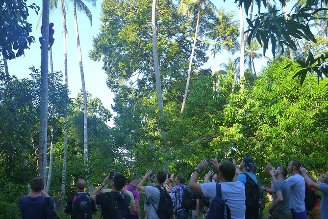 Spices and Stone Town Tour in Zanzibar - Guides, group size, and the human factor