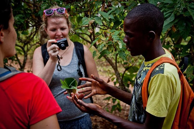 Spices and Stone Town Tour in Zanzibar - Who should choose this Zanzibar combination tour?
