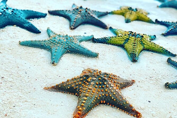 Starfish Beach; The Rock; Kuza Cave; Paje Beach; Salaam Cave Tour - A full east-coast day for $150