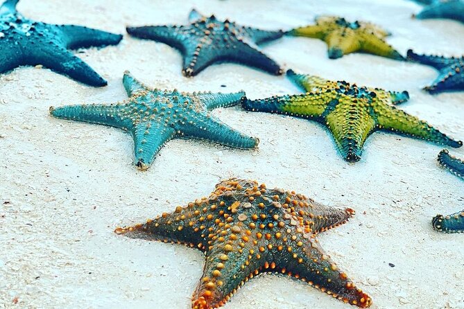 Starfish Beach; The Rock; Paje Beach; Jozani Forest; Salaam Cave - Swimming with turtles at Salaam Cave